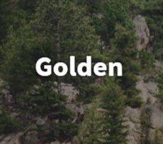 Golden Investment Property Mortgage